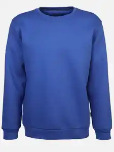 Herren Sweatshirt mit Stickerei Blau