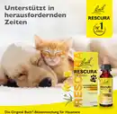 Bild 4 von Bach RESCURA Bachblüten Pets Tropfen, 10 ml