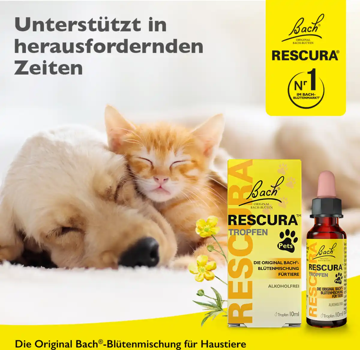 Bild 4 von Bach RESCURA Bachblüten Pets Tropfen, 10 ml