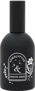 IDEENWELT Aromatherapie Raumspray Eukalyptus, 100 ml