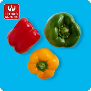   Paprika-Mix, Ursprung: Spanien / Marokko