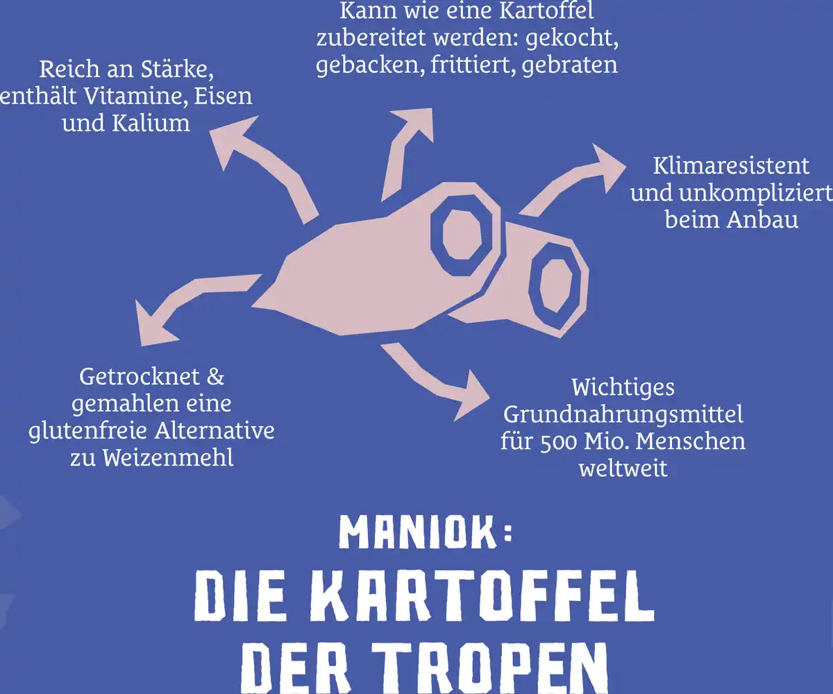 Bild 4 von el origen Bio Maniok Chips mit Meersalz, 60 g