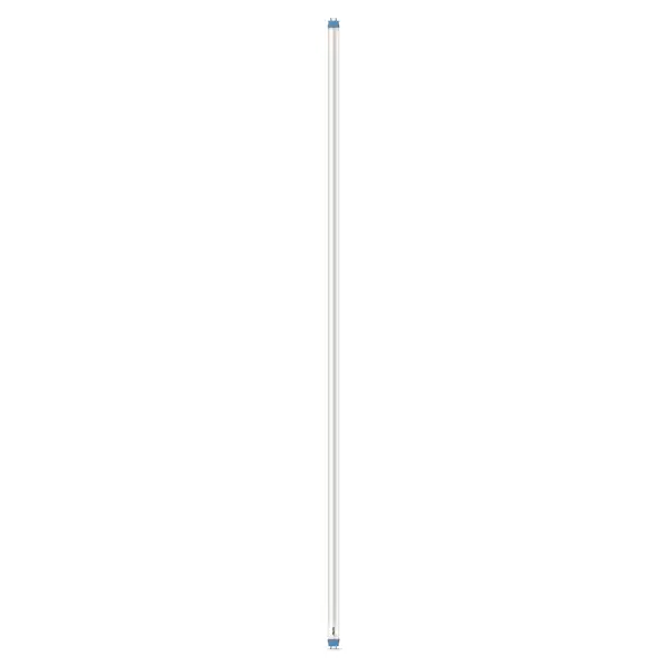 Bild 1 von Philips LED-Leuchtröhre T8 G13 31,5 W 3500 lm 1500 mm matt