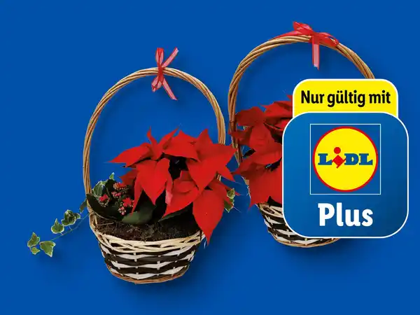 Bild 1 von Weihnachtsmix im Henkelkorb