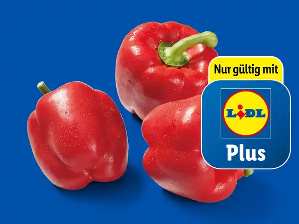 Bild 1 von Rote Paprika,  500 g