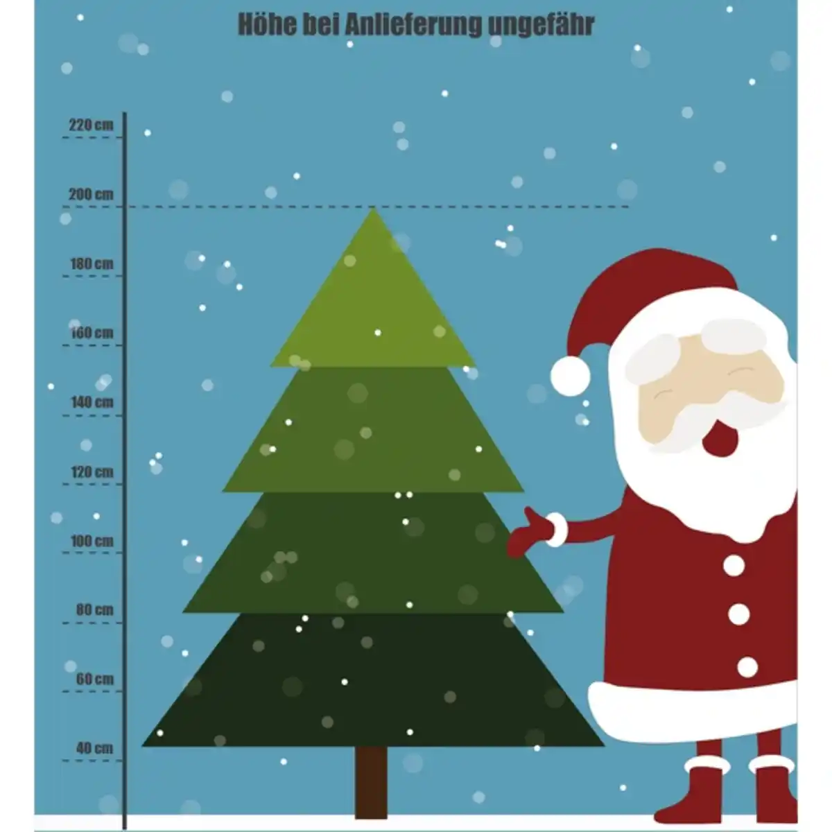 Bild 2 von Gartenkrone Weihnachtsbaum, Nordmanntanne, 175 - 200 cm