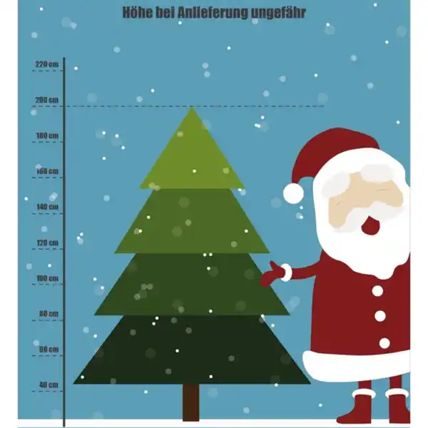 Bild 2 von Gartenkrone Weihnachtsbaum, Nordmanntanne, 175 - 200 cm