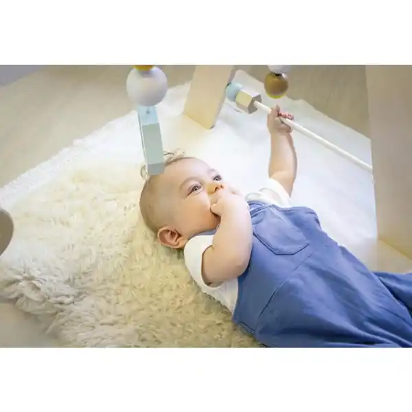 Bild 2 von Pinolino Motorikspielzeug »Josi«, BxHxT: 63 x 52 x 55 cm, für Kinder ab 3 Monaten