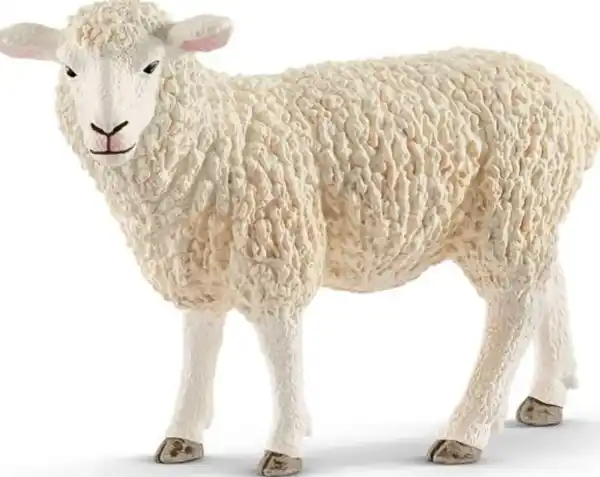 Bild 1 von Schleich 13882 Schaf