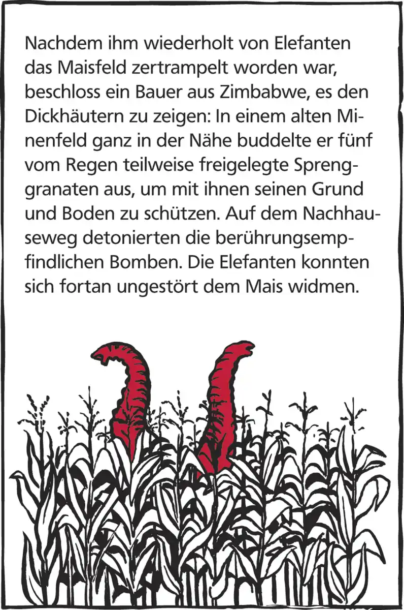 Bild 4 von moses. black stories Shit Happens