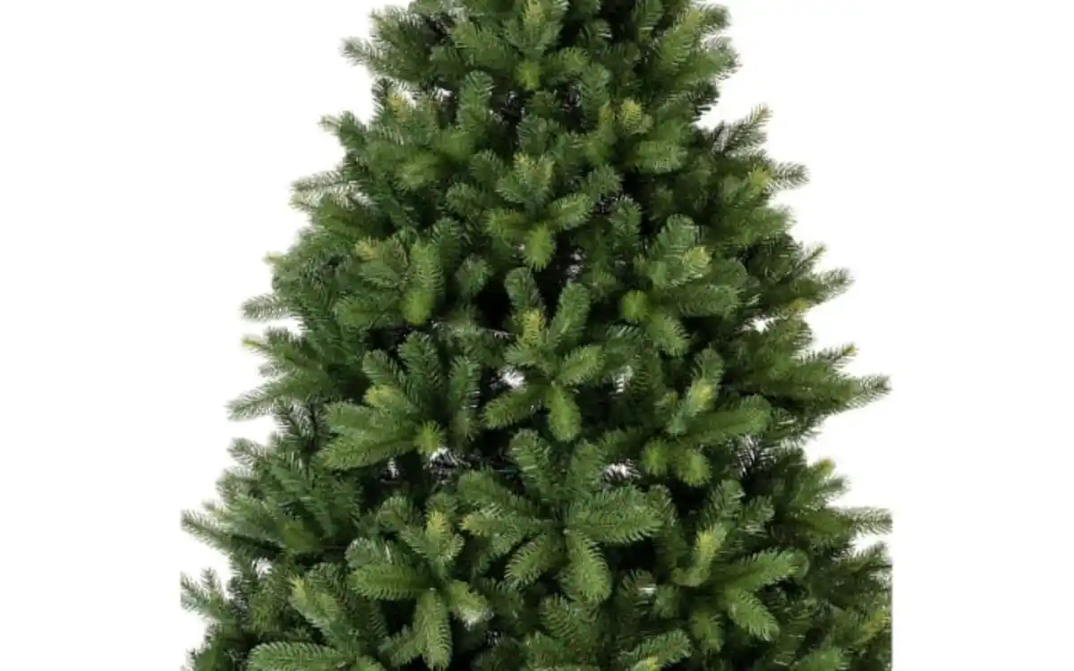 Bild 3 von Tannenbaum Freiburg, grün, 210 cm