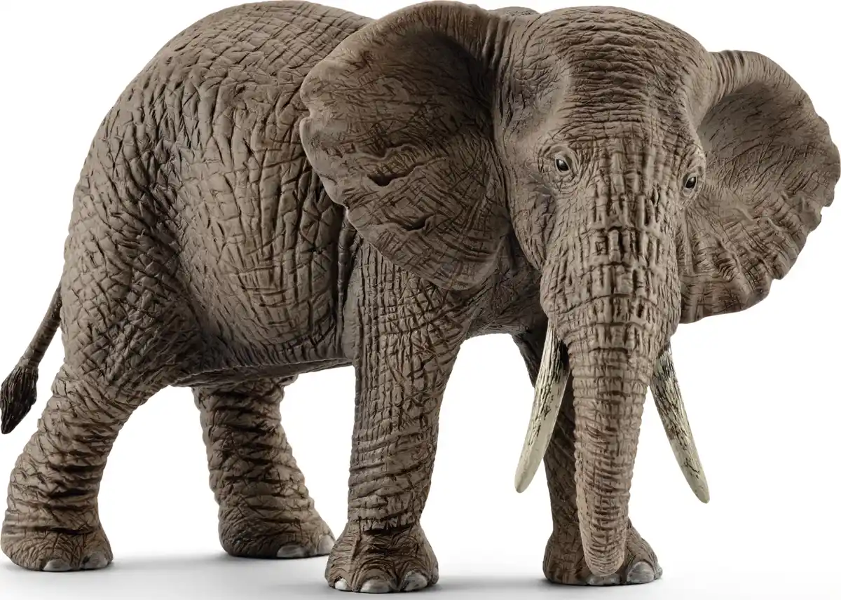 Bild 1 von Schleich 14761 Afrikanische Elefantenkuh