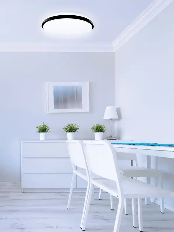 Bild 3 von LED Wand und Deckenleuchten Taro+ 40 RGB