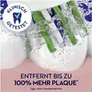 Bild 4 von Oral-B Aufsteckbürsten Cross Action Clean Maximiser