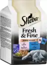 Bild 1 von Sheba Fresh & Fine in Sauce mit Lachs und Thunfisch Multipack, 300 g