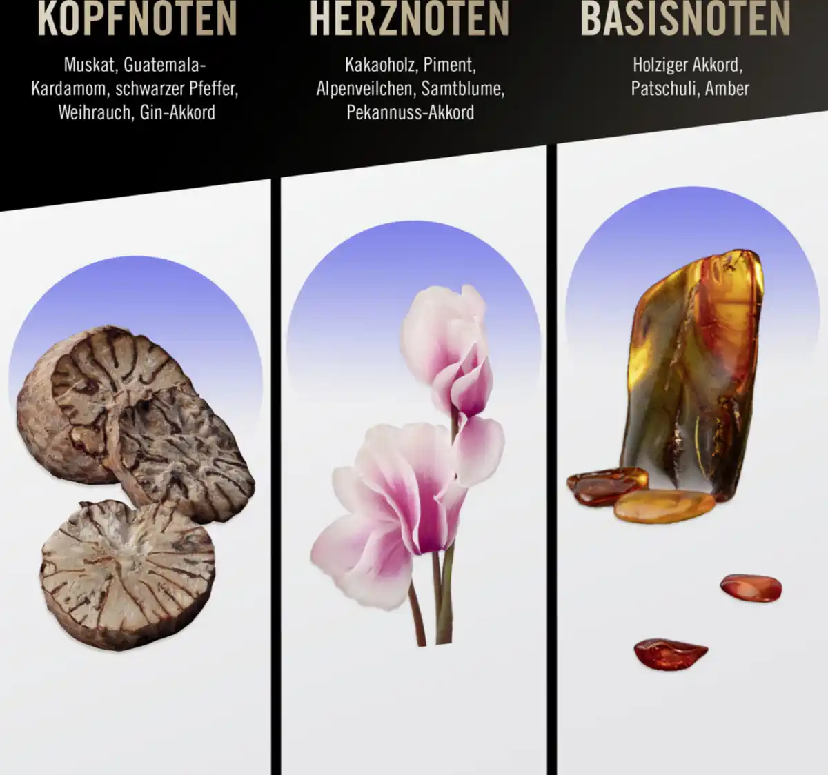 Bild 3 von bruno banani Magic Man Deospray, 150 ml