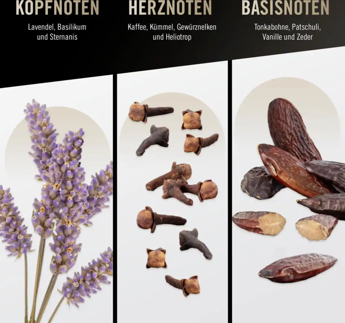 Bild 3 von bruno banani Man Deospray, 150 ml