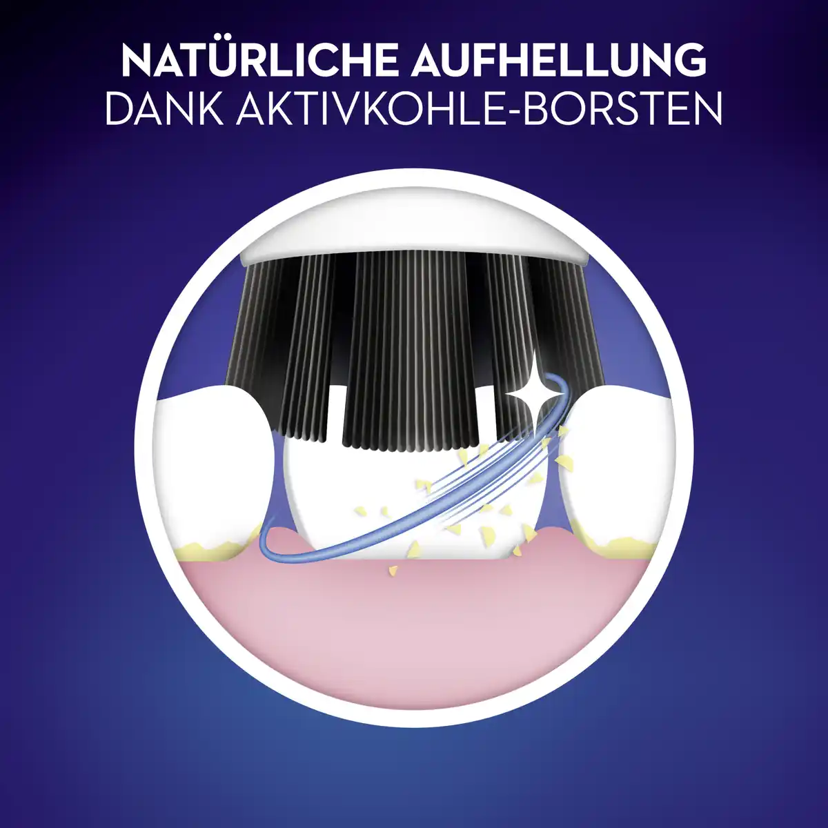 Bild 2 von Oral-B Aufsteckbürsten Pure Clean