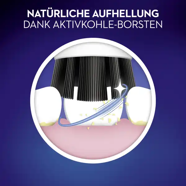 Bild 2 von Oral-B Aufsteckbürsten Pure Clean