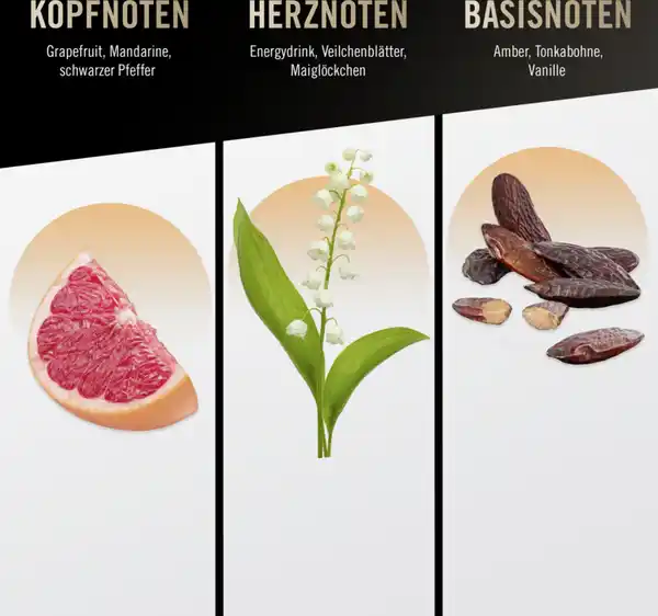 Bild 3 von bruno banani Absolute Man Deospray, 150 ml