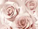 Bild 1 von Papiertapeten Rosen