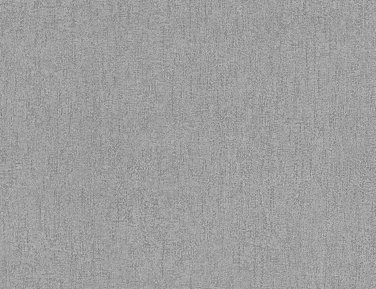 Bild 1 von Vliestapete Uni Flitter Grau