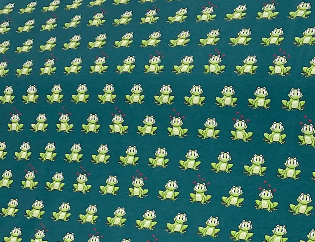 Bild 2 von Jerseystoff Frösche Petrol