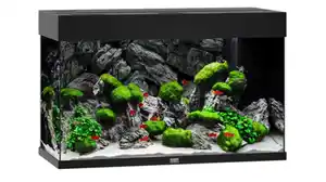 JUWEL® AQUARIUM Rio 125 LED