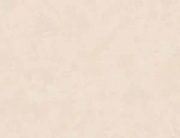 Bild 1 von Vliestapete Uni Beige
