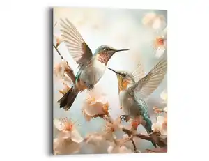 Bild fliegende Kolibris