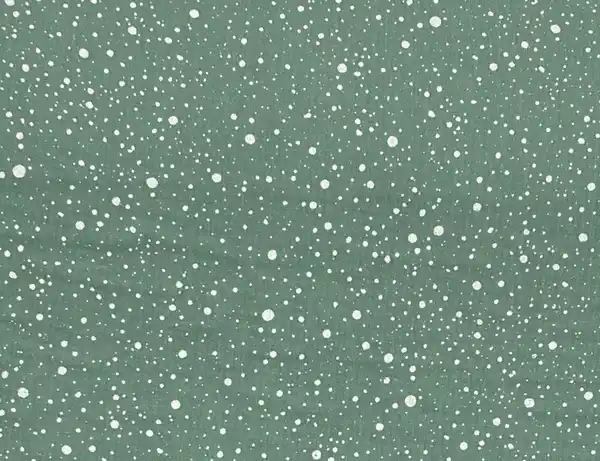 Bild 2 von Musselin Double Gauze Punkte Grün