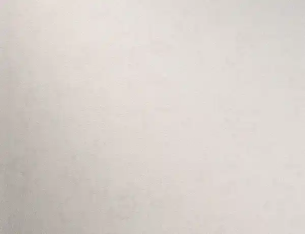 Bild 2 von Vliestapete Uni Weiß