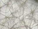 Bild 2 von Tischläufer Anthrazit Nonwoven