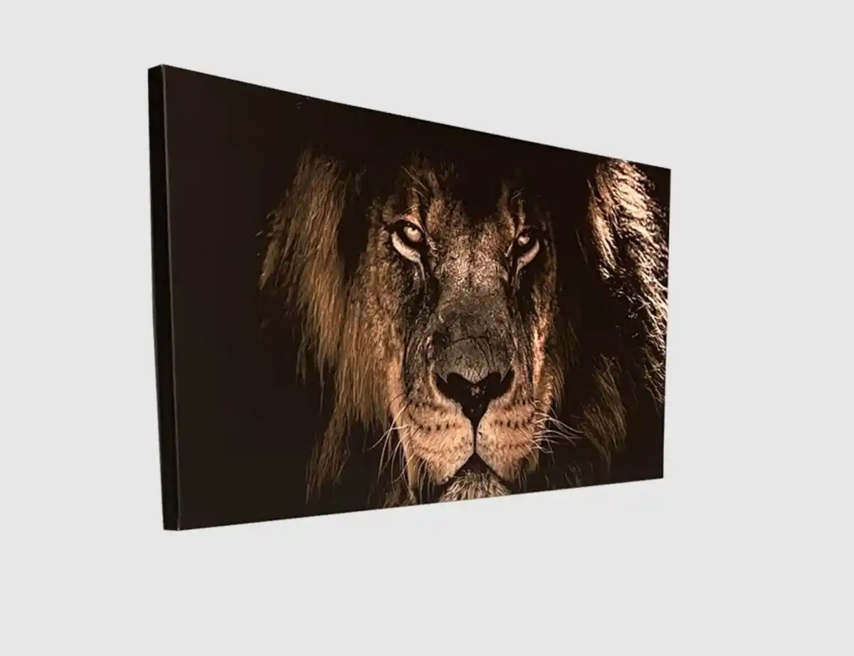 Bild 2 von Bild Löwenkopf