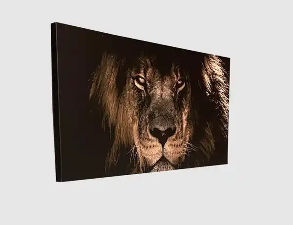 Bild 2 von Bild Löwenkopf