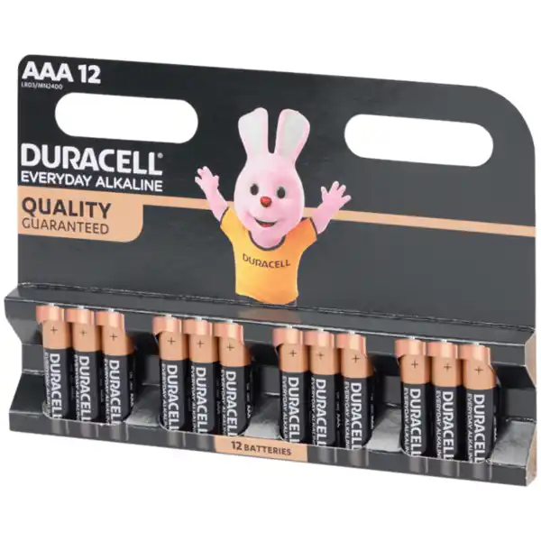 Bild 1 von Duracell Everyday Alkaline Batterien AAA