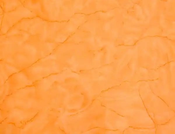 Bild 2 von Wachstuch Wisch Wasch Orange