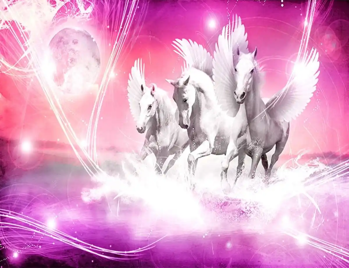 Bild 1 von Fototapete PEGASOS