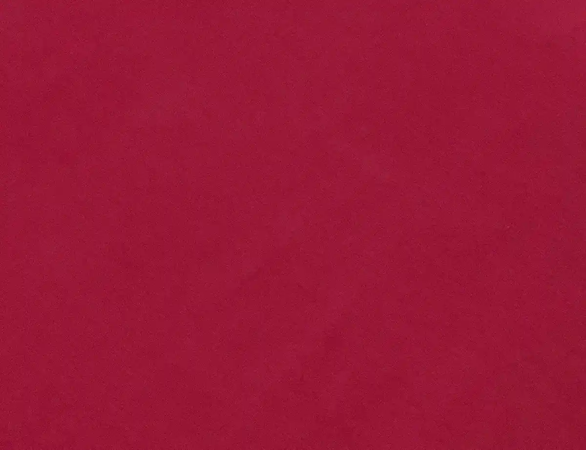 Bild 2 von Jerseystoff Uni Berry