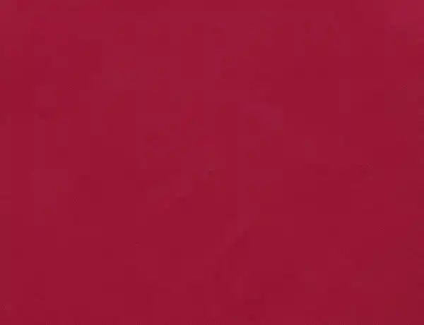 Bild 2 von Jerseystoff Uni Berry