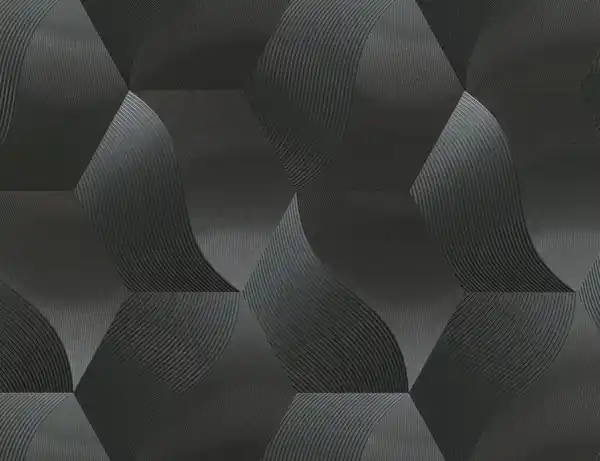 Bild 1 von Vliestapete Grafik Schwarz