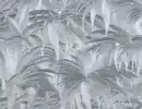 Bild 1 von Vliestapete Blätter Silber