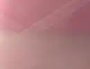 Bild 1 von Gittertüll Rosa