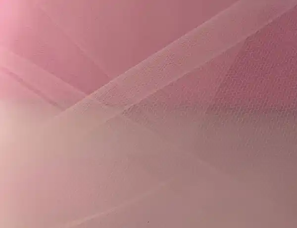 Bild 1 von Gittertüll Rosa