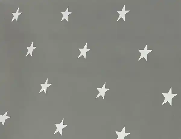 Bild 2 von Wachstuch Sterne Grau