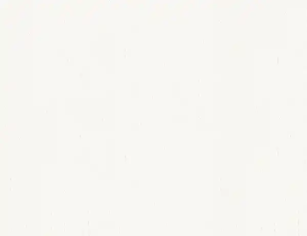 Bild 1 von Vliestapete Uni Weiß