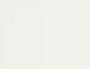 Vliestapete Uni Weiß