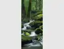 Bild 1 von Türdecor WALD