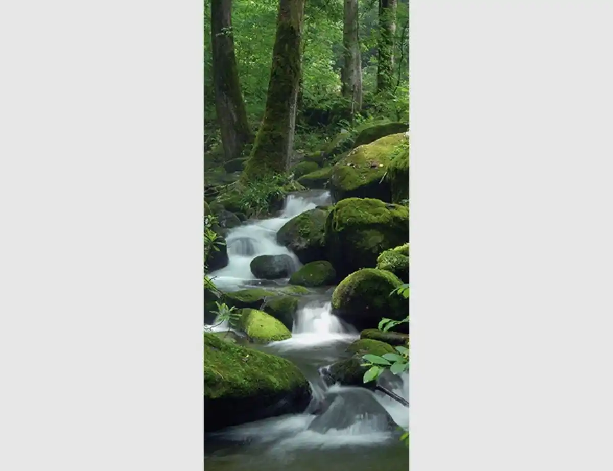 Bild 1 von Türdecor WALD