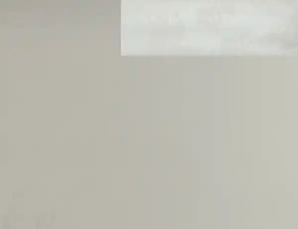 Bild 2 von Wachstuch Rosengarten